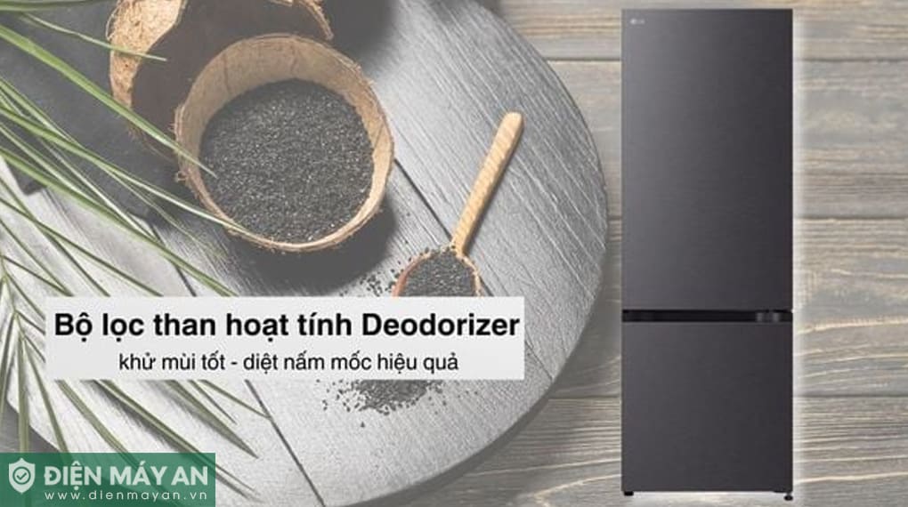 Tủ lạnh LG Inverter 335 lít LTB33BLMA
